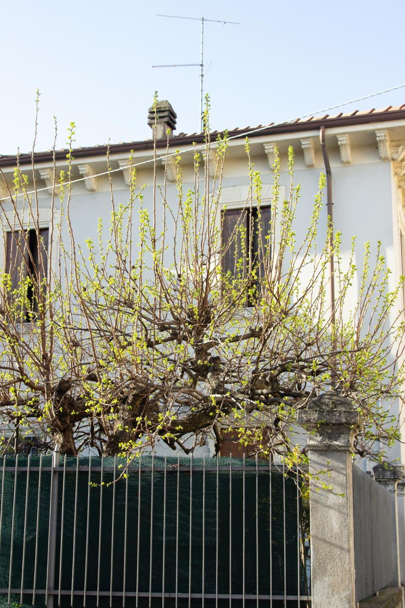 Verona Nest Bagian luar foto